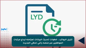 تنزيل الرواتب.. خطوات تحديث البيانات لمزامنة إيداع مرتبات الموظفين عبر منصة راتبي لحظي الجديدة